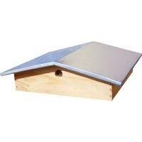TOIT CHALET en pin tôlé et ventilé