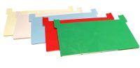 PISTE D'ENVOL verte pour plateau Dadant plastique