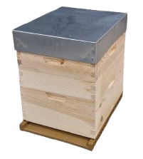 RUCHE COMPLETE ECO montée en pin à tenons - Toit tôle