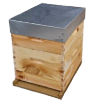 RUCHE COMPLETE ECO montée PARAFFINEE en pin à tenons - Toit tôle